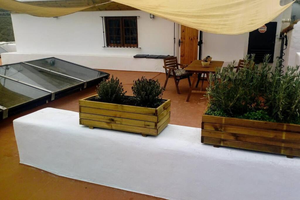 Appartamento Casita Bioclimatica En El Campo Arucas Esterno foto